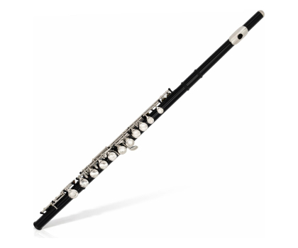 Instrument muzyczny MusicMate Flet poprzeczny C MM-D75 MidnightFlute